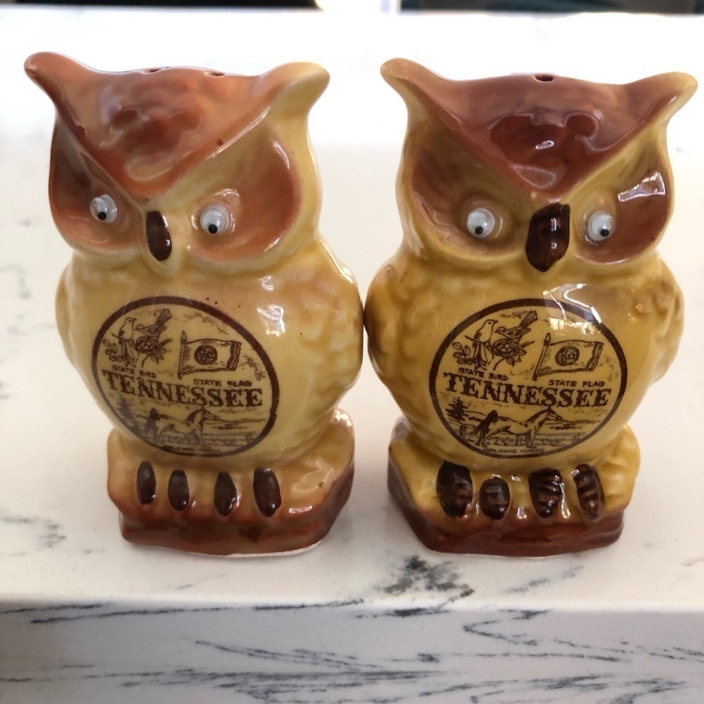 Googley Eye Owl Salt & Pepper Shakers~Tennessee VTG